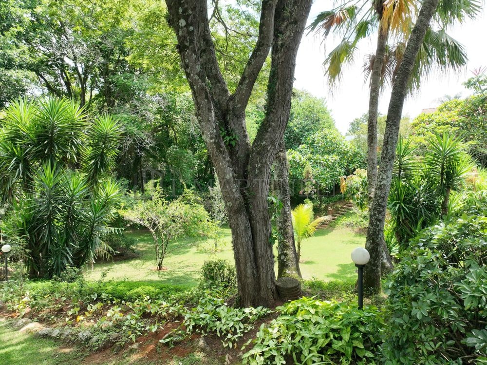 Casa no Terras de São José I — foto 5
