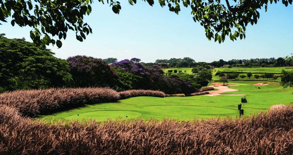 Campo de Golf por Randall Thompson — Fazenda Boa Vista