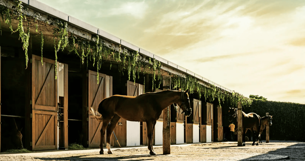 Centro Equestre — Fazenda Boa Vista