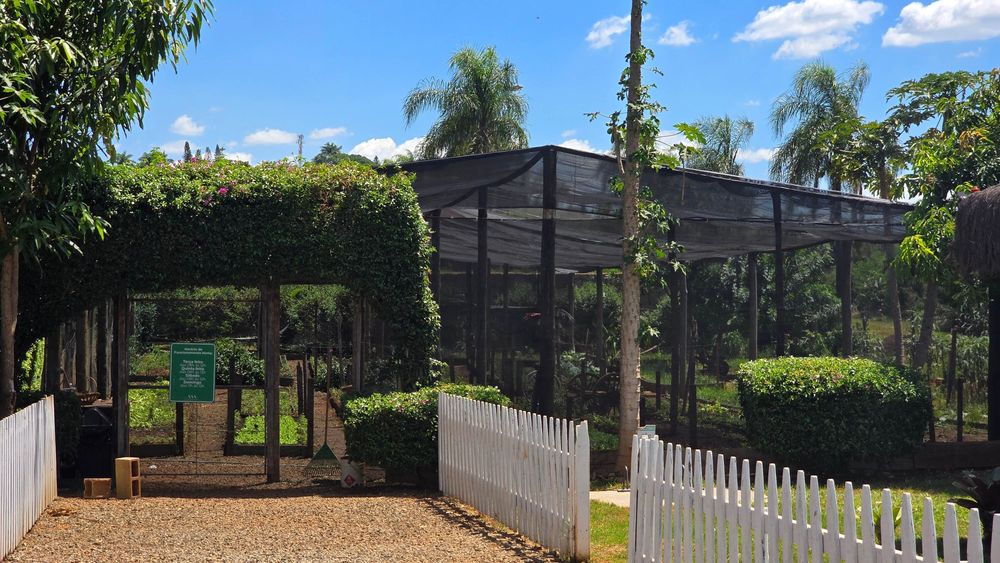 Horta Social — Fazenda Alvorada 