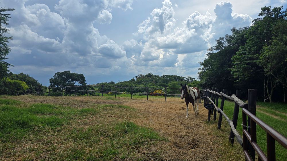 Hípica — Fazenda Kurumin