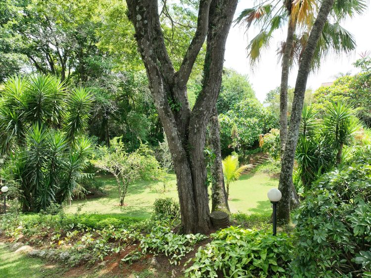 Casa no Terras de São José I — foto 5