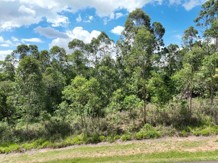 Terreno no Terras de São José II — foto 2