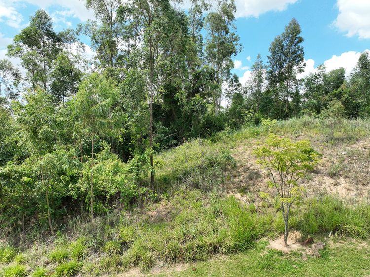 Terreno no Terras de São José II — foto 2