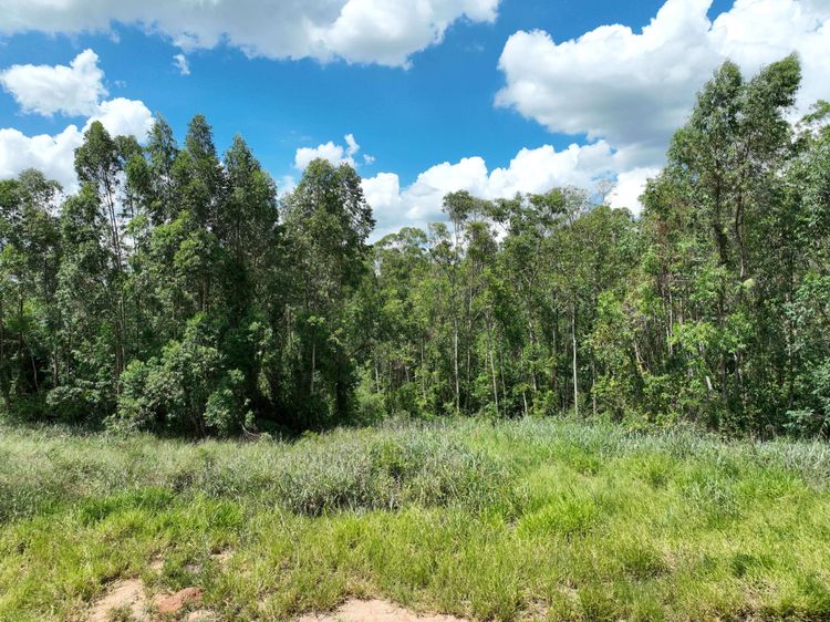Terreno no Terras de São José II — foto 2