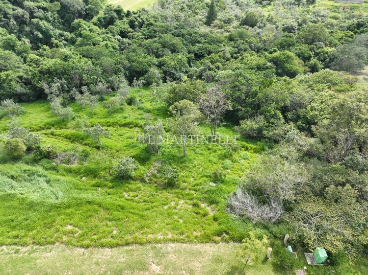 Terreno no Terras de São José II — foto 3
